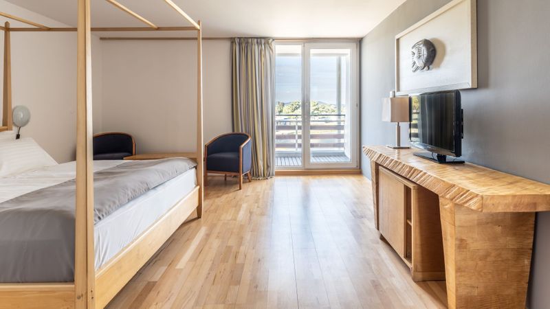 2304dd_falkensteiner-funimation-borik-rooms-standard-double.room_27_2