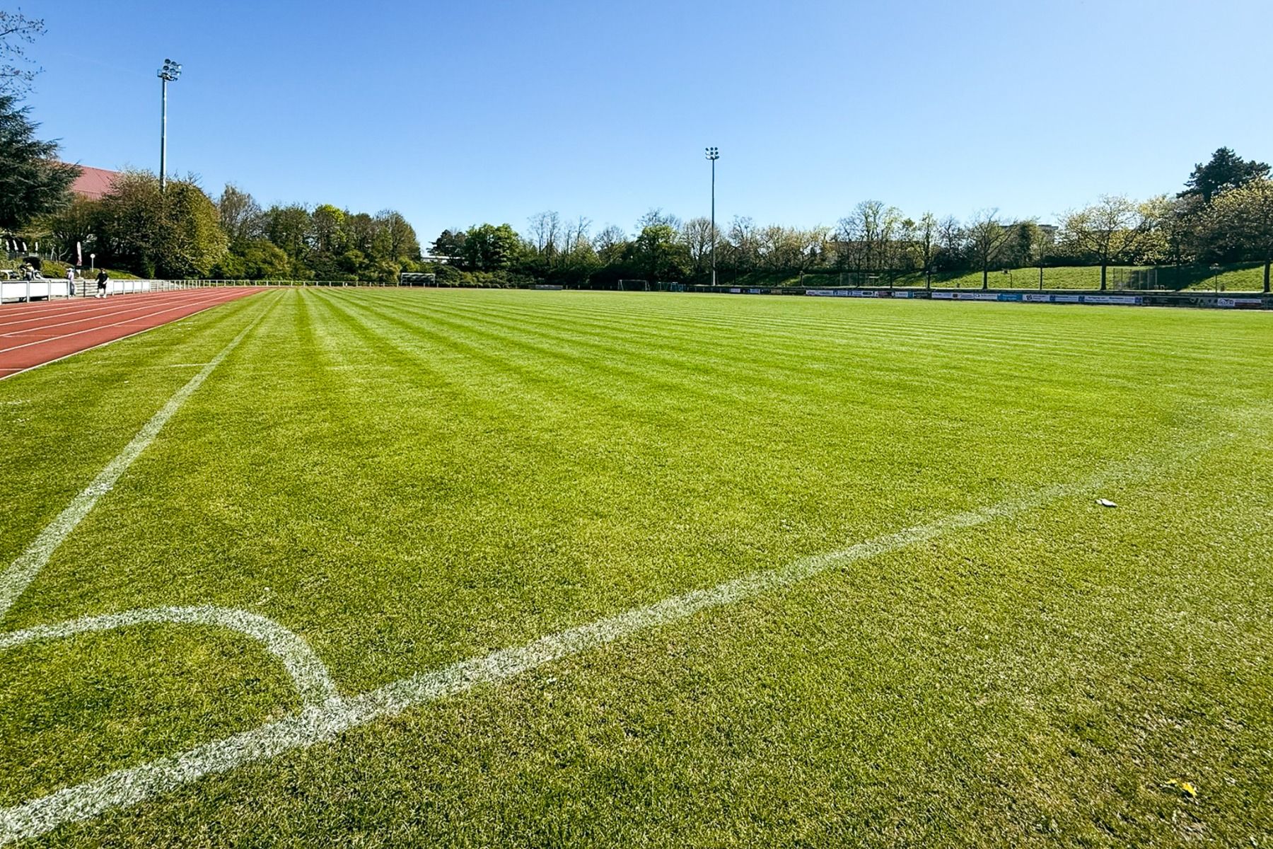 Naturrasenplatz Wiesloch