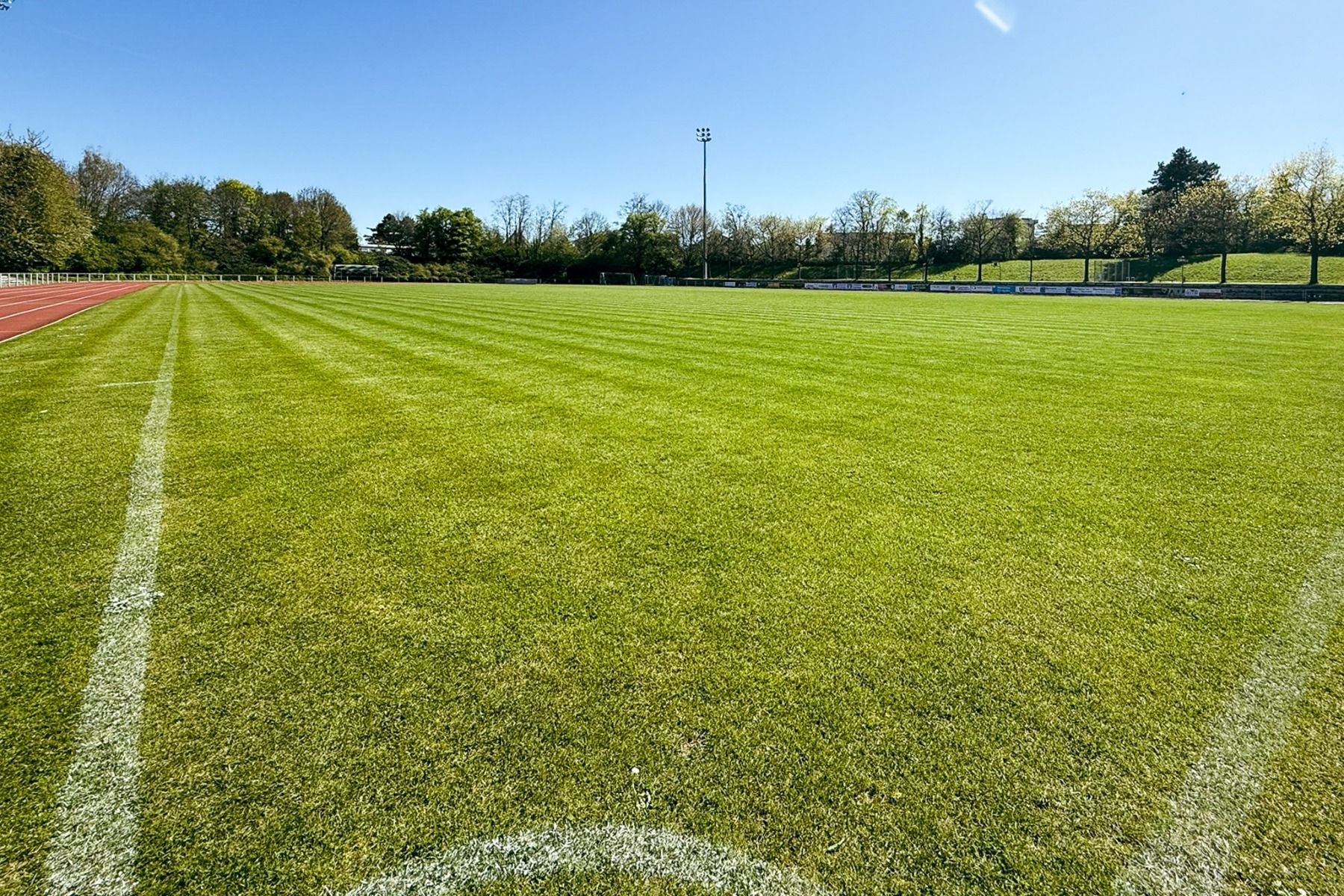 Naturrasenplatz Wiesloch