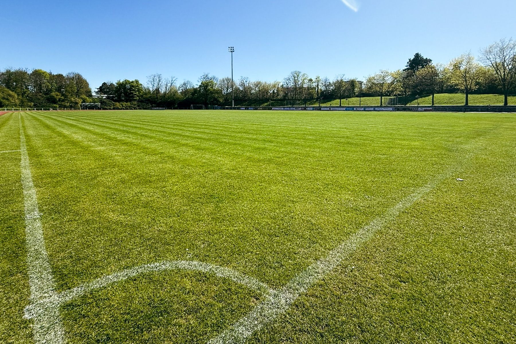 Naturrasenplatz Wiesloch