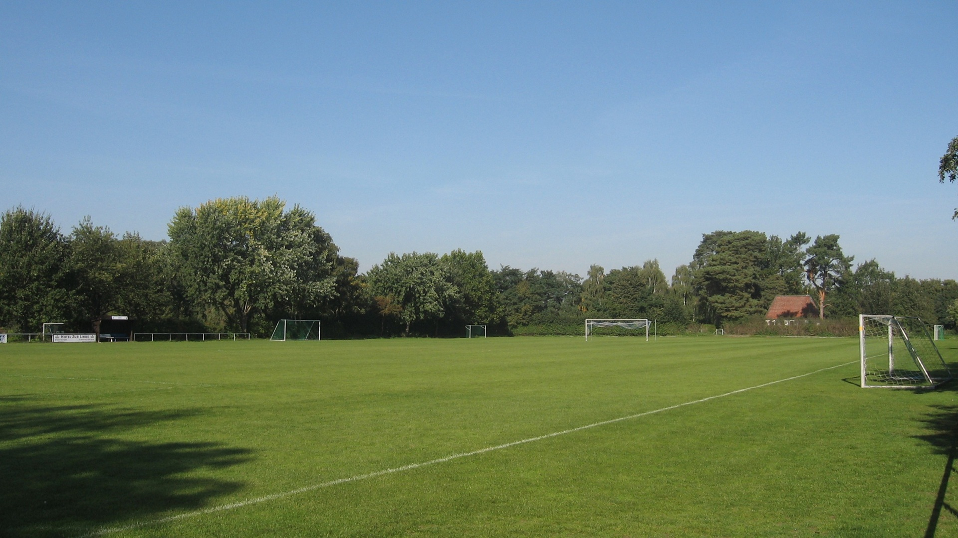 Naturrasen Braunschweig