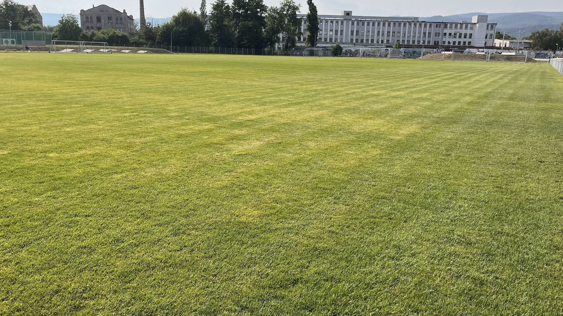 Naturrasen SK Juniors