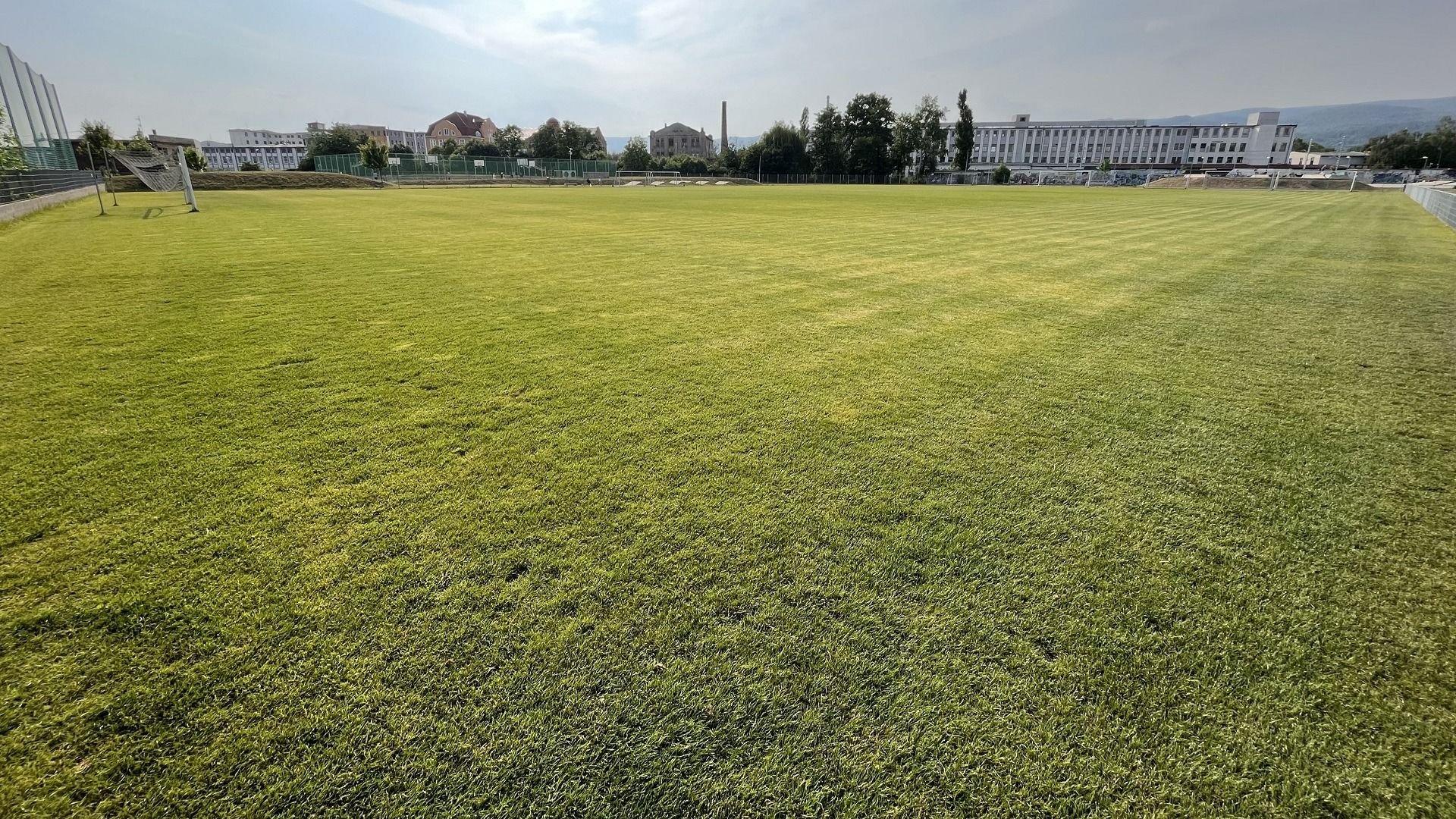 Naturrasen SK Juniors