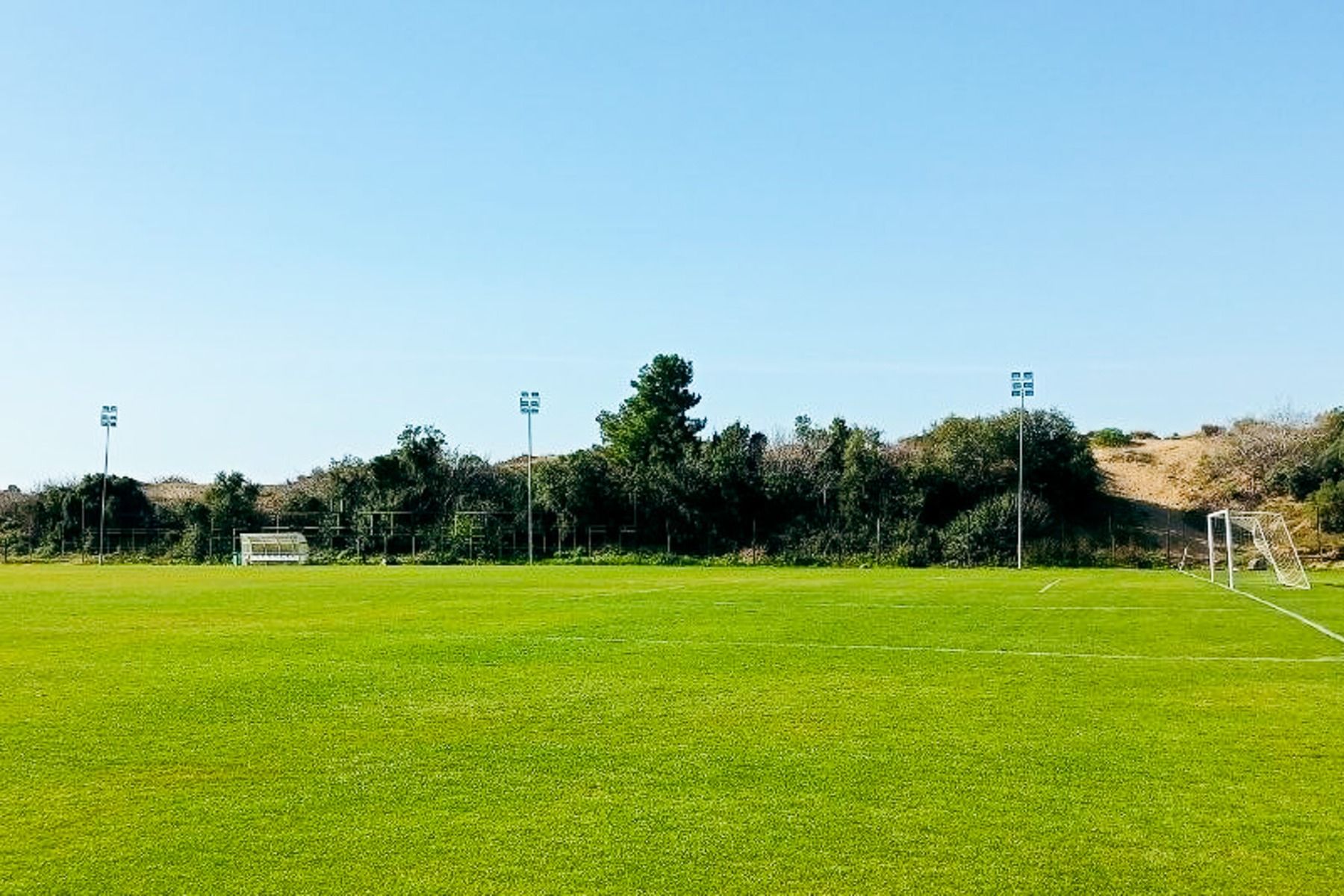 Der Side Moon Palace verfügt über einen grünen Fußballplatz mit zwei Toren an jedem Ende, der von Bäumen und Sträuchern gesäumt ist und unter freiem Himmel liegt. Vier hohe Flutlichter säumen den Rand des Spielfelds.