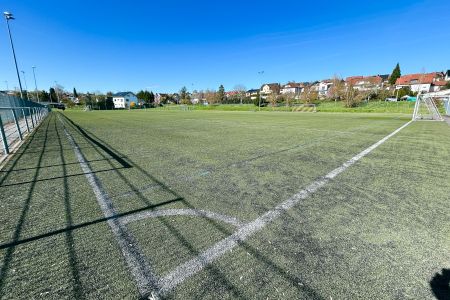 Kunstrasen 2 Empfingen