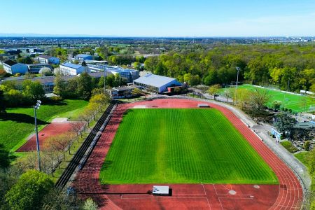 Naturrasenplatz Wiesloch