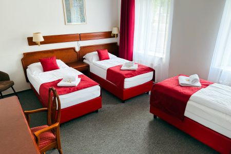https://www.soccatours.ch/media/catalog/product/cache/da432fc9ee79dfca32e073c2235ab4d7/h/o/hotel_bohemia_excellent_soccatours_3_.jpg