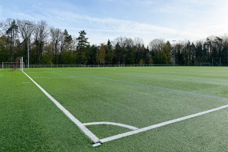 Der Kunstrasenplatz Birkenfeld verfügt über einen grünen Kunstrasen-Fußballplatz mit weißen Begrenzungslinien, der sich im Freien inmitten von Bäumen und unter strahlend blauem Himmel befindet.