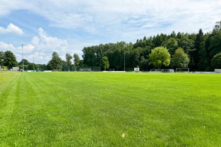 Der Naturrasenplatz Rommerz ist ein üppig grüner Fußballplatz mit Toren an den Rändern, umgeben von Bäumen und unter einem teilweise bewölkten blauen Himmel.