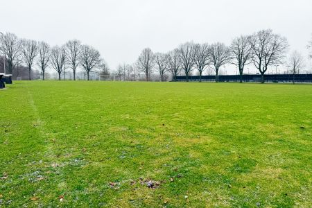 Ein weitläufiger, leerer SV Grol Naturrasen mit ein paar verstreuten Blättern wird von blattlosen Bäumen unter einem bedeckten Himmel eingerahmt. In der Ferne, nahe der Baumgrenze, ist ein Fußballtor zu sehen.
