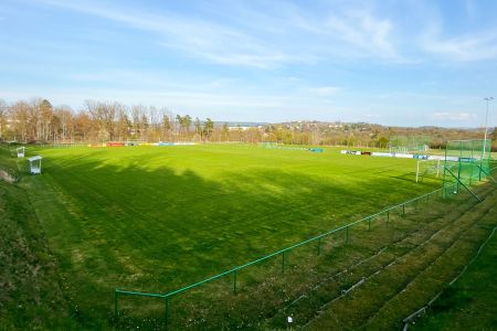 Naturrasen Greiz