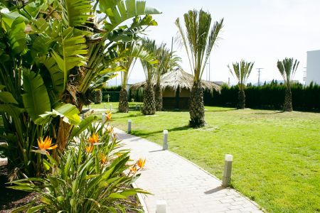 https://www.soccatours.ch/media/catalog/product/cache/da432fc9ee79dfca32e073c2235ab4d7/p/l/playa_oliva_soccatours_3_.jpg