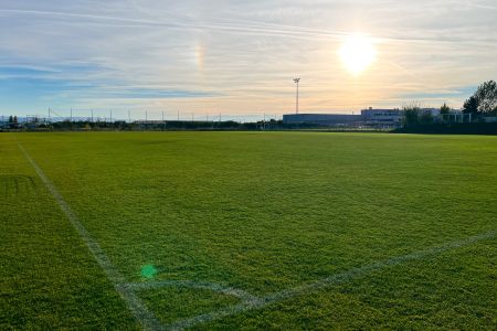 Naturrasen 1. SC Fortuna Wiener Neustadt