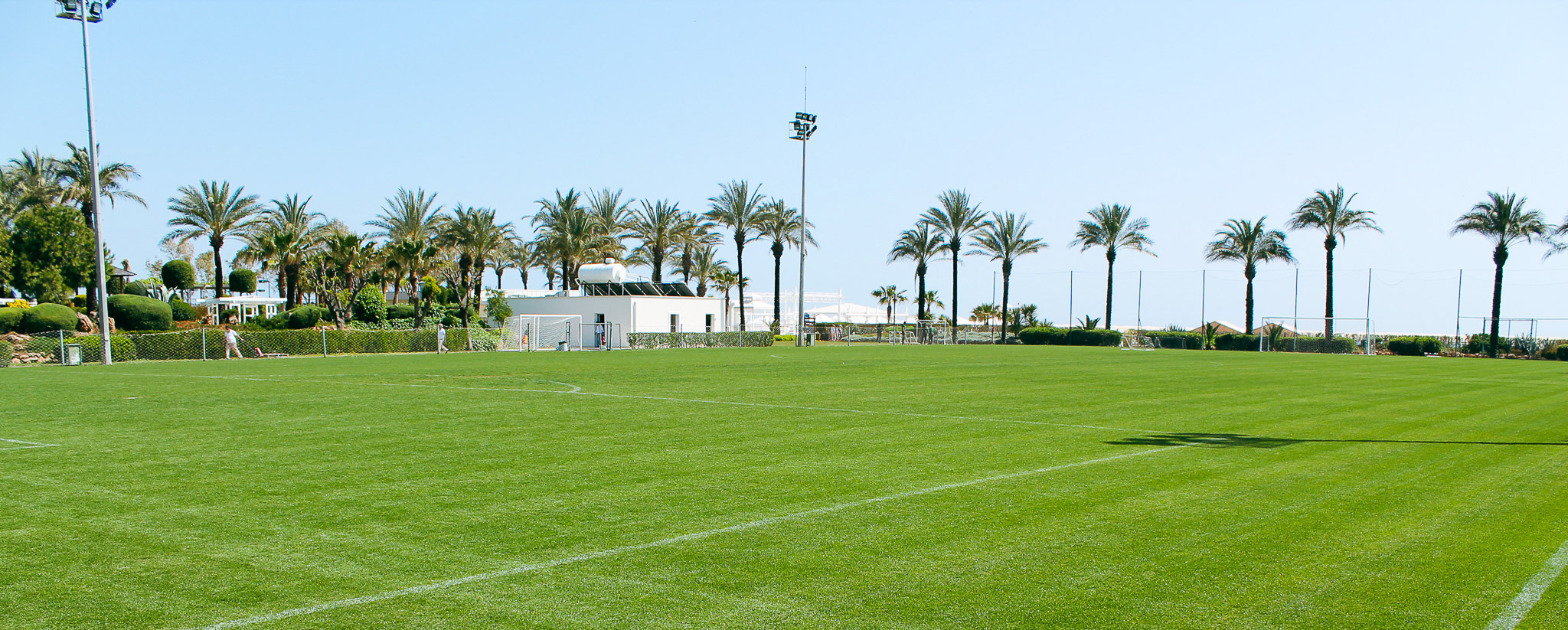 Fußballplatz in Lara mit erstklassigem Rasen und Palmen im Hintergrund, optimal für intensive Trainingseinheiten.