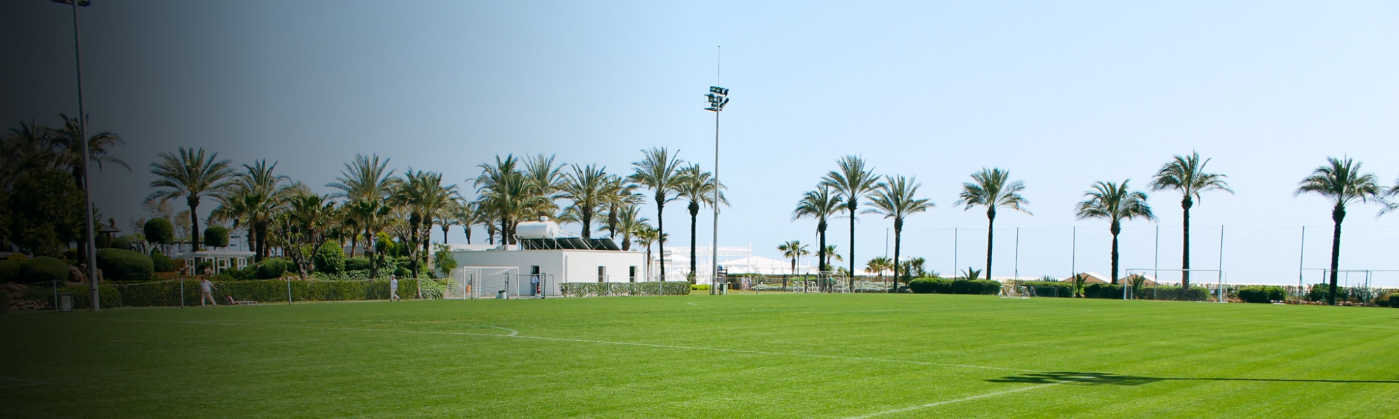 Fußballplatz in Lara mit erstklassigem Rasen und Palmen im Hintergrund, optimal für intensive Trainingseinheiten.