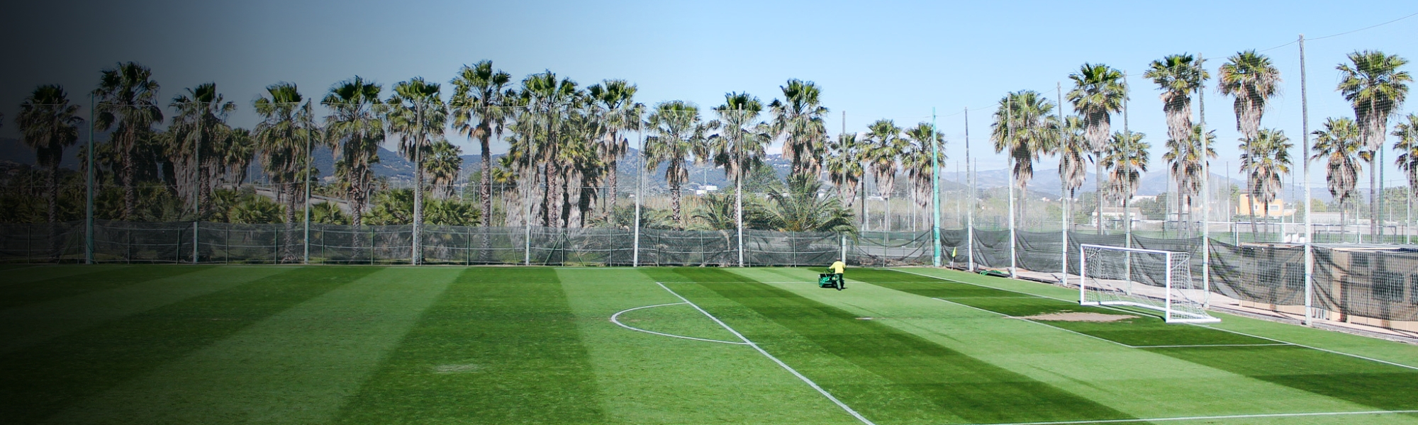 Ein sattgrüner Fußballplatz mit Palmenkulisse, mediterraner Atmosphäre und perfekten Trainingsbedingungen.